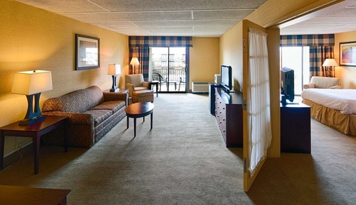 Business Suite, 1 King Bed with Sofa bed