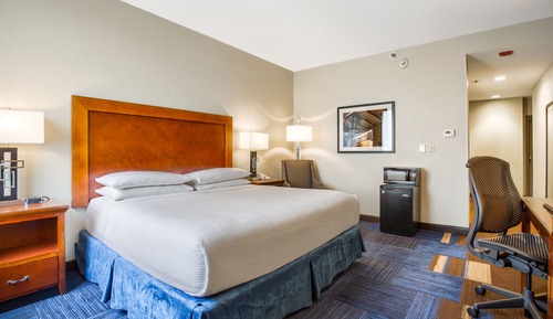Deluxe Room, 1 King Bed, Non Smoking