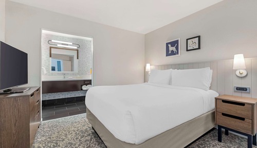 Suite, 1 Queen Bed with Sofa bed (One Bedroom)