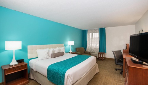 Standard Room, 1 King Bed, Accessible, Non Smoking
