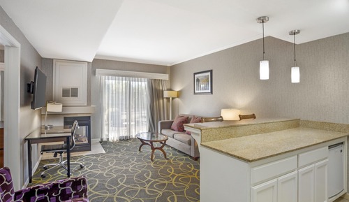 Suite, 1 Queen Bed, Accessible, Kitchenette (with Sofabed)