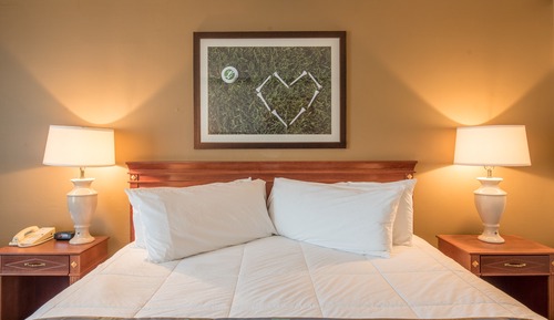 Room, 1 King Bed, Accessible, Non Smoking