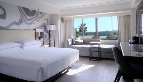 Room, 1 King Bed