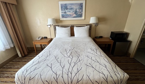 Standard Room, 1 King Bed
