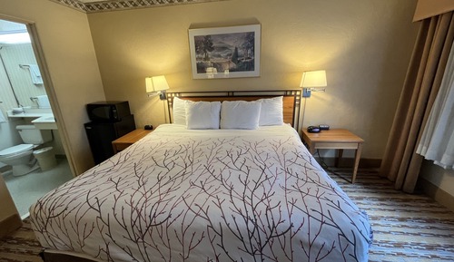 Room, 1 King Bed, Non Smoking, City View