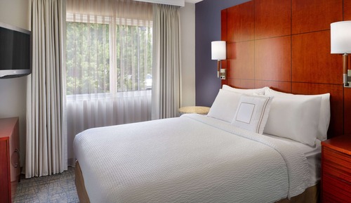 Suite, 1 Queen Bed with Sofa bed (One Bedroom)