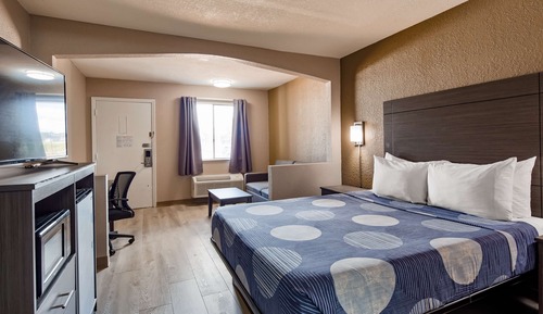 Standard Room, 1 King Bed with Sofa bed, Non Smoking, Refrigerator & Microwave (with Sofabed)