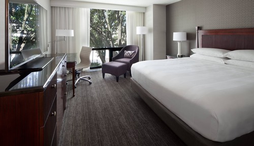 Room, 1 King Bed, Non Smoking (Hearing Accessible)