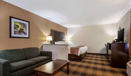 Room, 1 King Bed