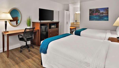 Deluxe Room, 1 Queen Bed, Mobility Accessible, Non Smoking (Roll-In Shower)