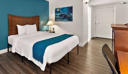 Deluxe Room, 1 King Bed, Mobility Accessible, Non Smoking (Roll-In Shower)