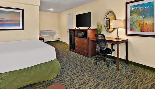 Room, 1 King Bed, Non Smoking
