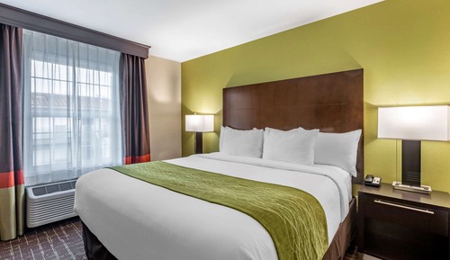 Suite, 1 King Bed with Sofa bed, Non Smoking