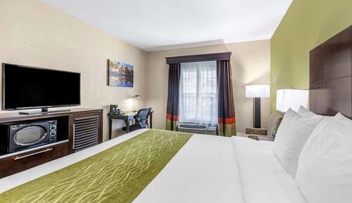 Standard Room, 1 King Bed, Non Smoking