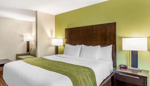 Deluxe Room., 1 King Bed with Sofa Bed, Non Smoking