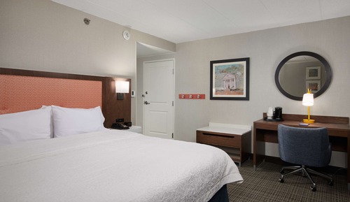 Room, 1 King Bed, Accessible, Bathtub