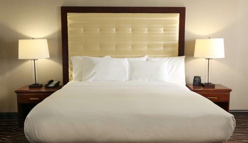 Room, 1 King Bed (Roll-In Shower)