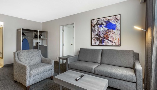 Room, 1 King Bed, Non Smoking (with Sofabed)