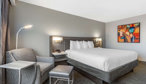 Standard Room, 1 King Bed, Non Smoking, Refrigerator & Microwave