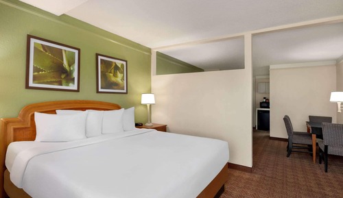 Studio Suite, 1 King Bed, Non Smoking
