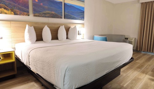 Room, 1 King Bed, Accessible, Non Smoking (Mobility, Roll-in Shower)