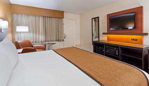 Standard Room, 1 King Bed, Accessible, Bathtub (NonSmoking)