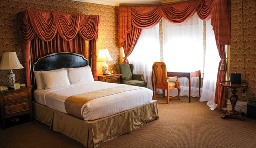 Premium Queen Room