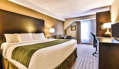 Standard Room, 1 King Bed with Sofa bed, Ground Floor