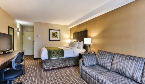 Comfort Care, Standard Room, 1 Queen Bed with Sofa bed
