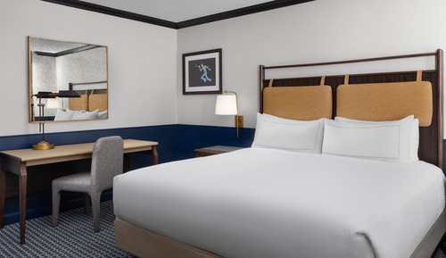 Suite, 1 King Bed with Sofa bed