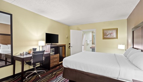 Room, 1 King Bed, Non Smoking