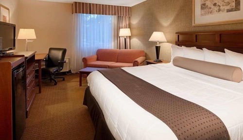 Room, 1 King Bed, Non Smoking