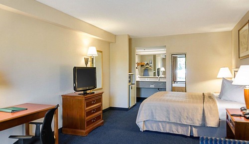 Standard Room, 1 King Bed, Non Smoking
