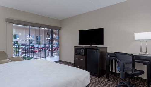 Standard Room, 1 King Bed, View (Holidome View)