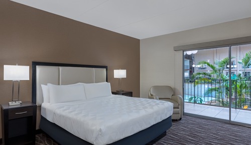 Standard Room, 1 King Bed, View (Holidome View)