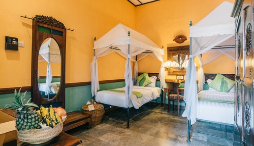 Superior Room, 1 Bedroom