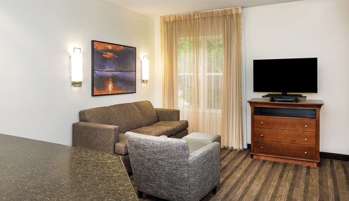 Studio Suite, 1 King Bed with Sofa bed