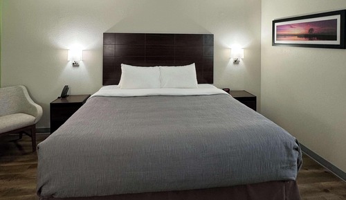 Standard Room, 1 King Bed, Non Smoking