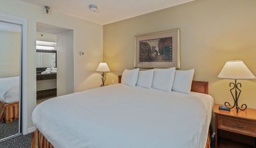 Studio Suite, 1 King Bed, Kitchen