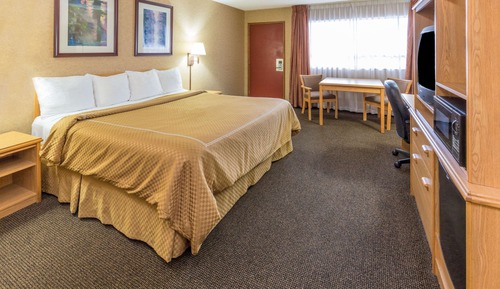 Standard Room, 1 King Bed, Non Smoking (No Pets)