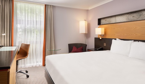 Deluxe Room, 1 Double Bed