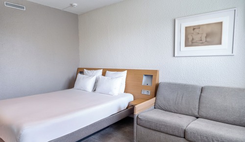 Classic Room, 1 Double Bed with Sofa bed