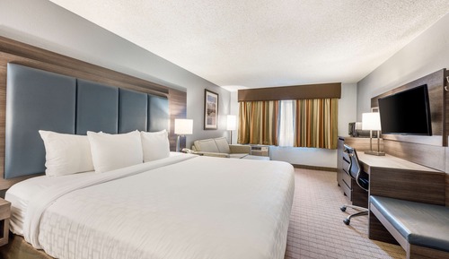Standard Room, 1 King Bed, Non Smoking, Refrigerator & Microwave (with Sofabed)