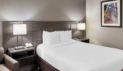 Standard Room, 1 Queen Bed, Accessible, Refrigerator & Microwave