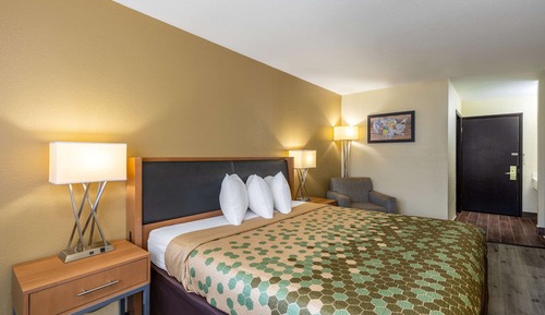 Room, 1 King Bed, Accessible, Non Smoking