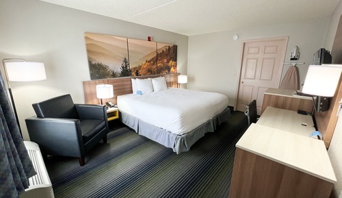 Business Room, 1 King Bed, Smoking