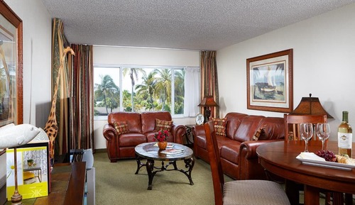 Standard Apartment, 1 King Bed, Non Smoking, Kitchen (Living Room;with Sofabed)