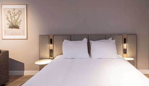 Superior Room, 1 King Bed with Sofa bed
