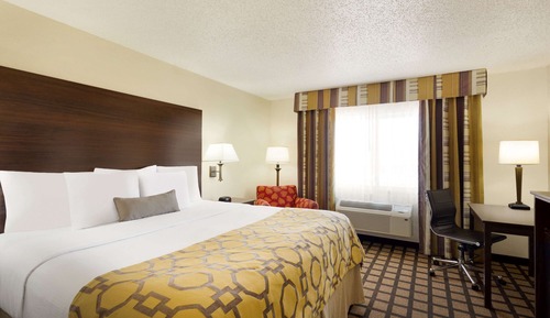 Room, 1 King Bed, Non Smoking