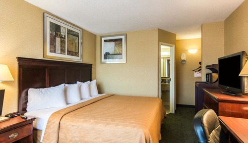 Standard Room, 1 King Bed, Non Smoking